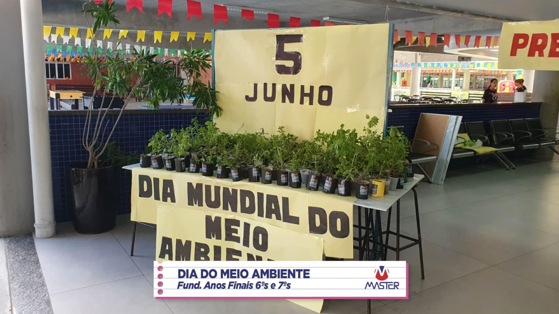 WhatsApp Image 2023-06-05 at 10.46.31