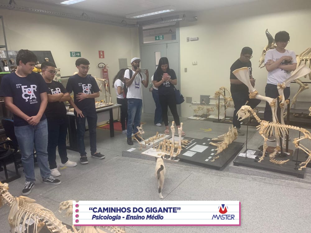 WhatsApp Image 2023-08-07 at 08.17.53