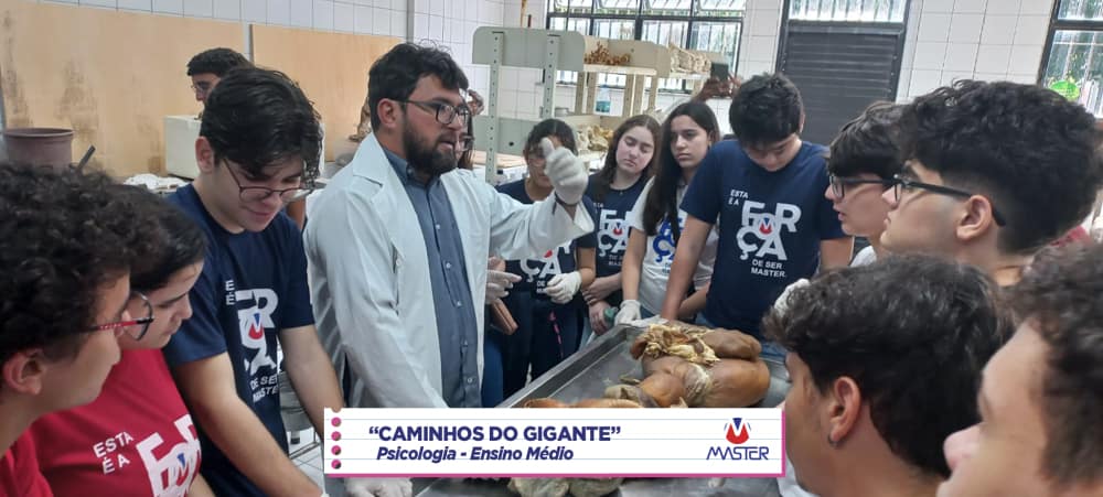 WhatsApp Image 2023-08-07 at 08.18.44