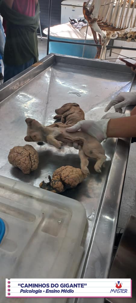 WhatsApp Image 2023-08-07 at 08.18.45 (1)