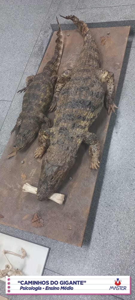 WhatsApp Image 2023-08-07 at 08.18.45 (3)