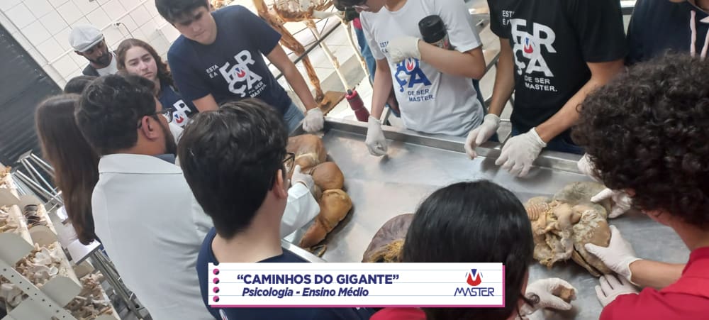 WhatsApp Image 2023-08-07 at 08.18.45