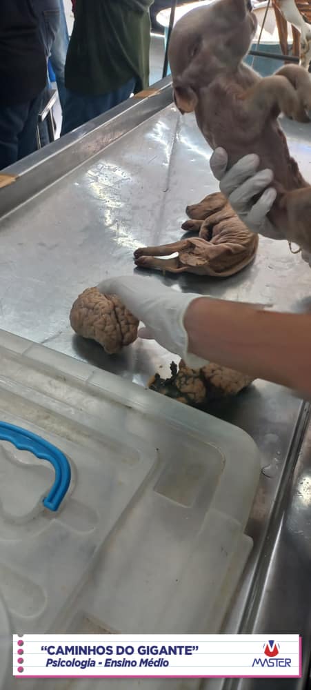 WhatsApp Image 2023-08-07 at 08.18.46 (2)