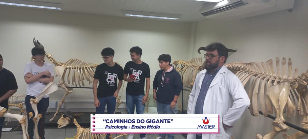 WhatsApp Image 2023-08-07 at 08.18.46