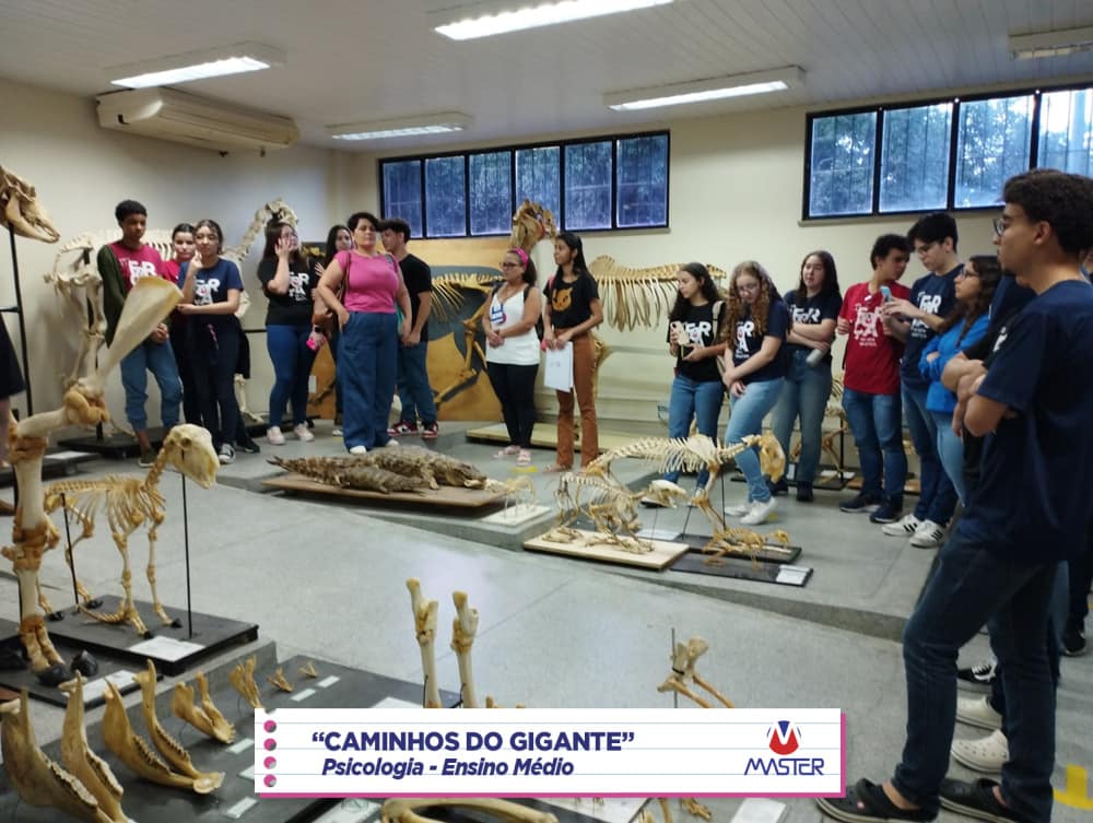 WhatsApp Image 2023-08-07 at 09.17.28