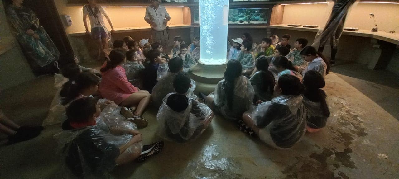 WhatsApp Image 2023-11-03 at 18.02.28