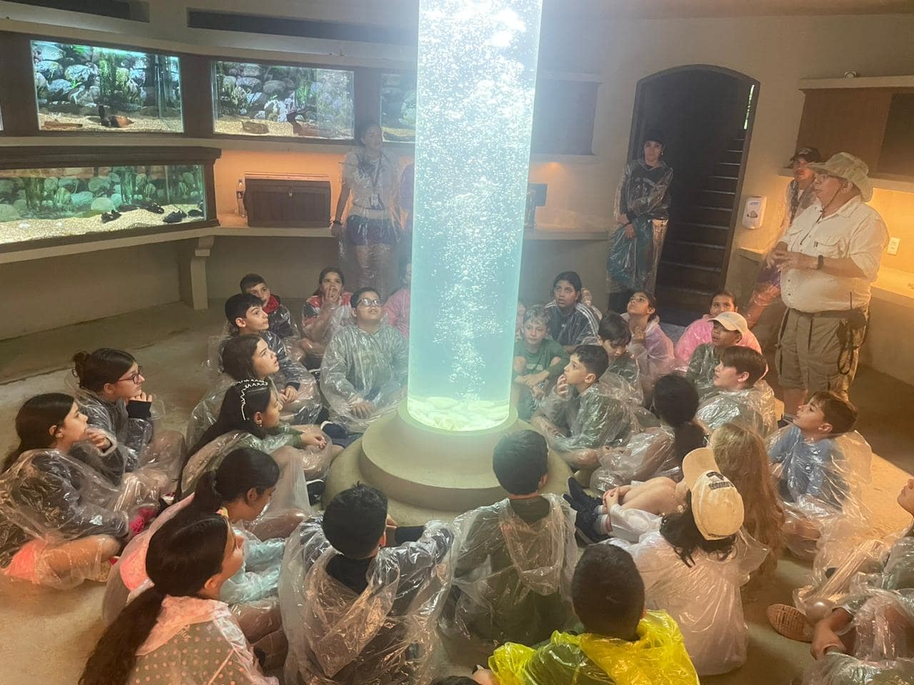 WhatsApp Image 2023-11-03 at 18.14.47