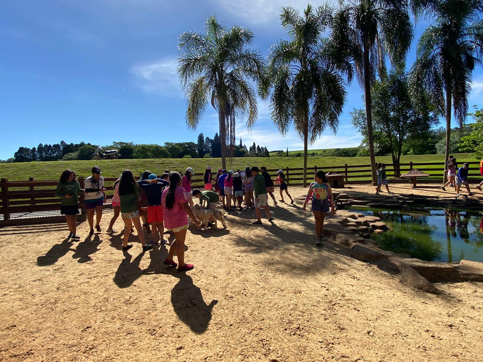 WhatsApp Image 2023-11-04 at 21.18.35