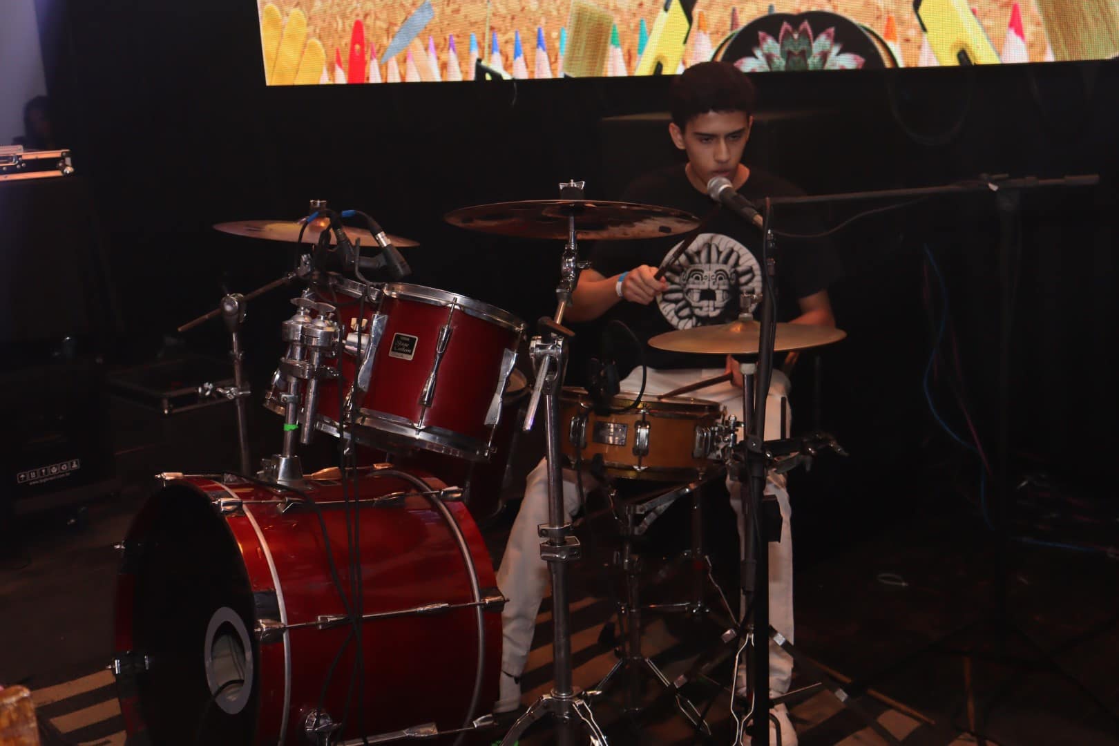 Festival de Artes 2024 (137)